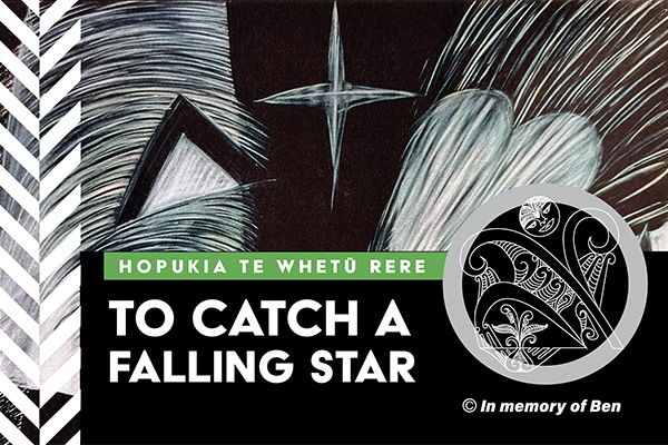 To Catch a Falling Star banner